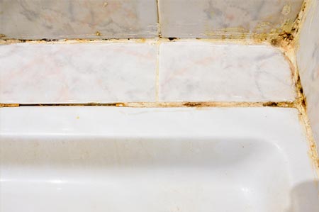 Photo of bathroom grout with mold in Calgary
